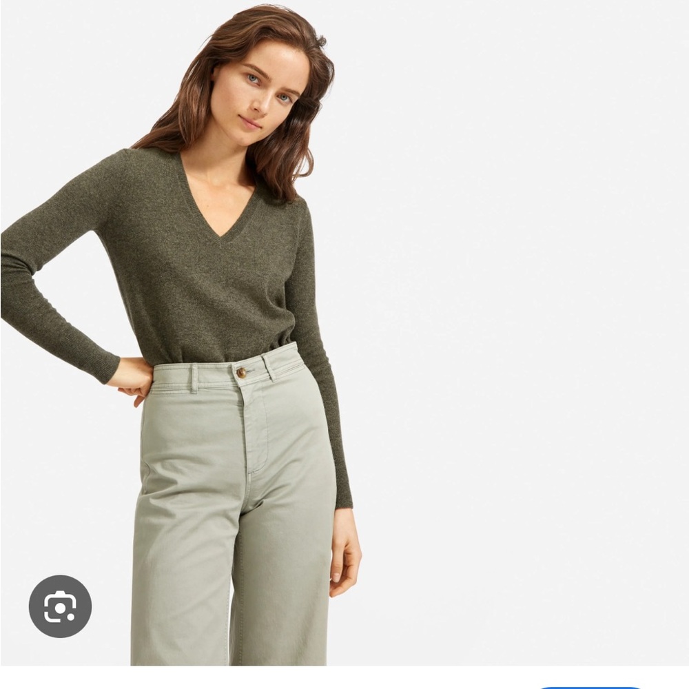 Everlane Cashmere V Neck Sweater